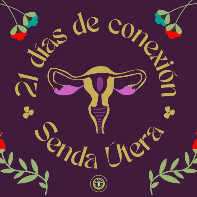 WhatsApp Image 2026 02 02 at 16.43.57